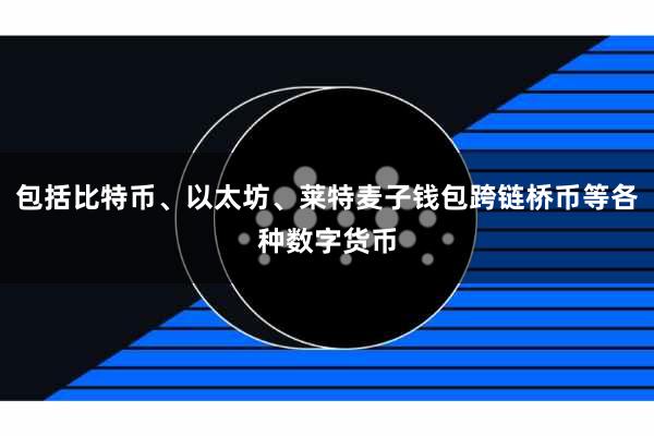 包括比特币、以太坊、莱特麦子钱包跨链桥币等各种数字货币