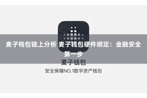 麦子钱包链上分析 麦子钱包硬件绑定：金融安全第一步