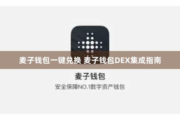麦子钱包一键兑换 麦子钱包DEX集成指南
