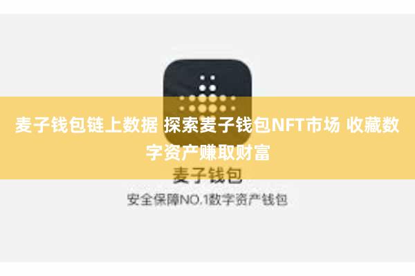 麦子钱包链上数据 探索麦子钱包NFT市场 收藏数字资产赚取财富