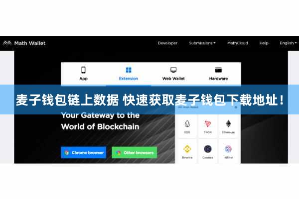麦子钱包链上数据 快速获取麦子钱包下载地址！