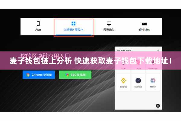 麦子钱包链上分析 快速获取麦子钱包下载地址！