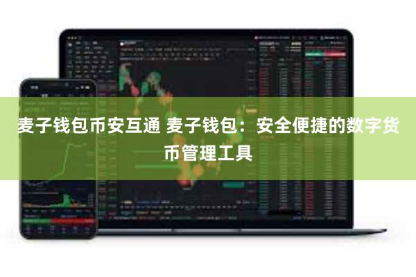 麦子钱包币安互通 麦子钱包：安全便捷的数字货币管理工具