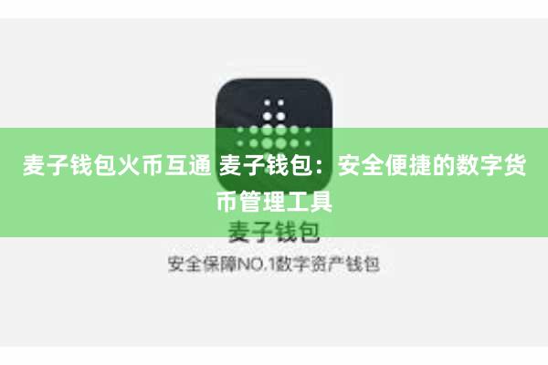 麦子钱包火币互通 麦子钱包：安全便捷的数字货币管理工具