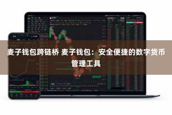 麦子钱包跨链桥 麦子钱包：安全便捷的数字货币管理工具
