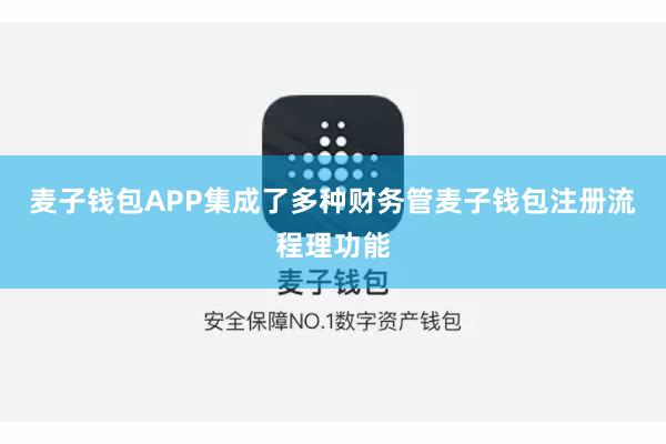 麦子钱包APP集成了多种财务管麦子钱包注册流程理功能