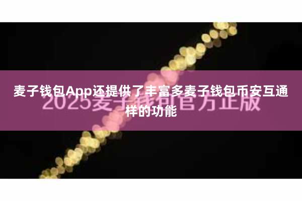 麦子钱包App还提供了丰富多麦子钱包币安互通样的功能