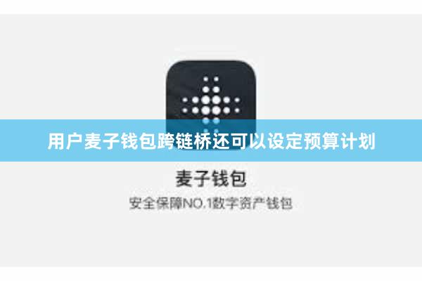 用户麦子钱包跨链桥还可以设定预算计划