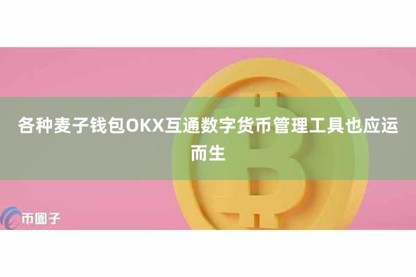 各种麦子钱包OKX互通数字货币管理工具也应运而生