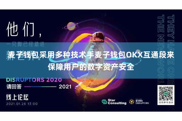 麦子钱包采用多种技术手麦子钱包OKX互通段来保障用户的数字资产安全