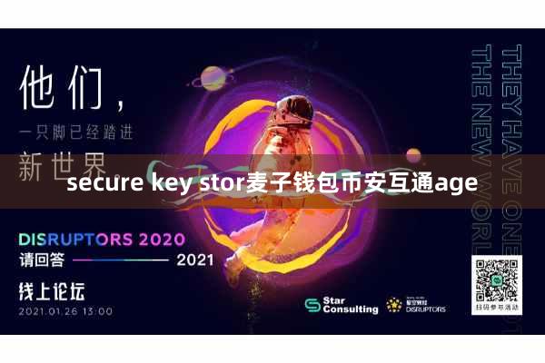 secure key stor麦子钱包币安互通age