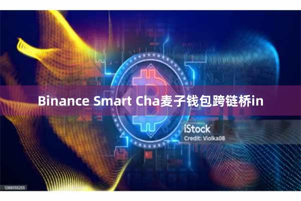 Binance Smart Cha麦子钱包跨链桥in