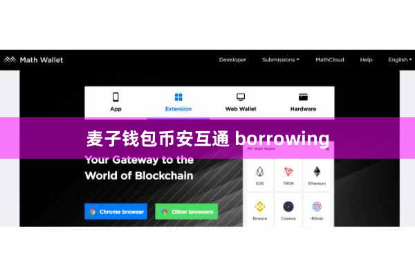 麦子钱包币安互通 borrowing