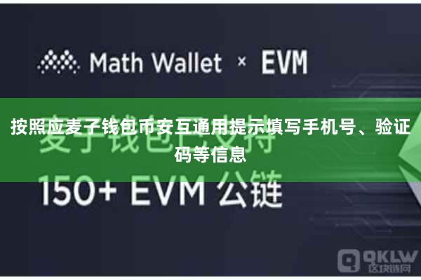 按照应麦子钱包币安互通用提示填写手机号、验证码等信息