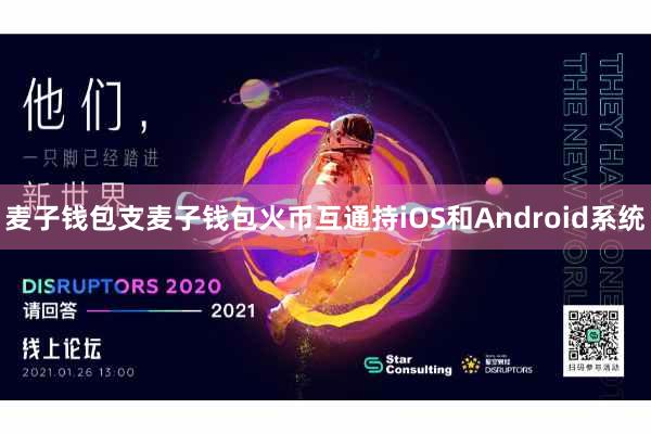 麦子钱包支麦子钱包火币互通持iOS和Android系统