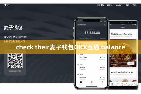 check their麦子钱包OKX互通 balance